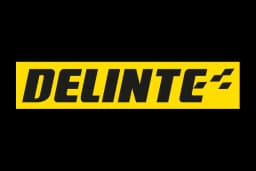 DELINTE DELINTE
