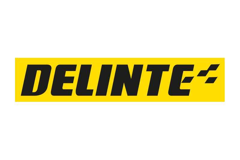 DELINTE DELINTE